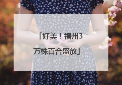 好美！福州3万株百合盛放