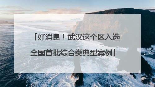 好消息！武汉这个区入选全国首批综合类典型案例