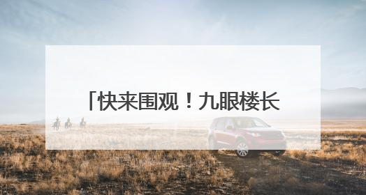 快来围观！九眼楼长城，傻狍子出没~