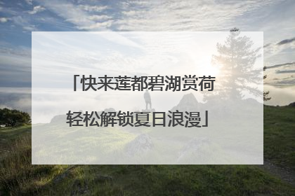 快来莲都碧湖赏荷 轻松解锁夏日浪漫