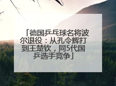 德国乒乓球名将波尔退役：从孔令辉打到王楚钦，同5代国乒选手竞争