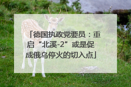 德国执政党要员：重启“北溪-2”或是促成俄乌停火的切入点