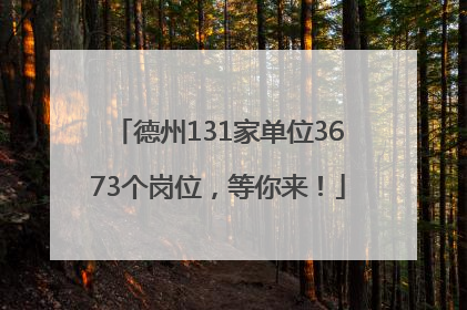 德州131家单位3673个岗位，等你来！