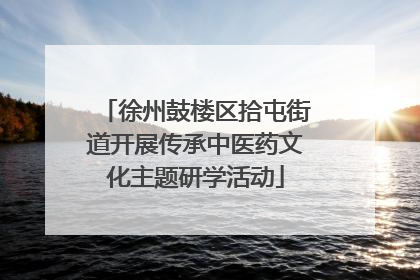 徐州鼓楼区拾屯街道开展传承中医药文化主题研学活动
