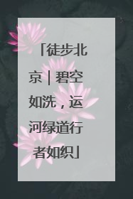 徒步北京｜碧空如洗，运河绿道行者如织