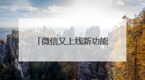 微信又上线新功能！网友：赶紧去改
