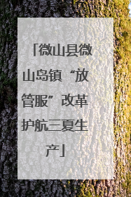 微山县微山岛镇“放管服”改革护航三夏生产