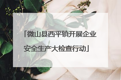 微山县西平镇开展企业安全生产大检查行动