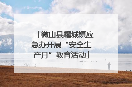 微山县驩城镇应急办开展“安全生产月”教育活动