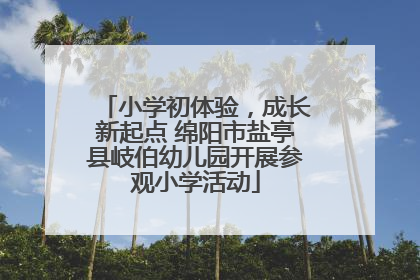 小学初体验，成长新起点 绵阳市盐亭县岐伯幼儿园开展参观小学活动