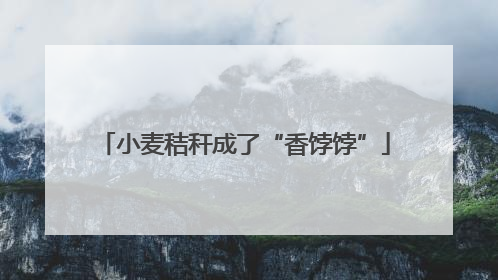 小麦秸秆成了“香饽饽”