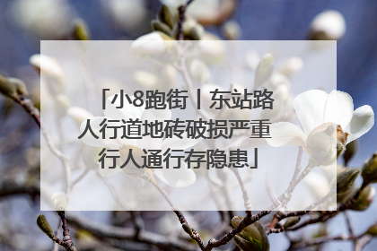 小8跑街丨东站路人行道地砖破损严重 行人通行存隐患