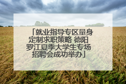 就业指导专区量身定制求职策略 德阳罗江夏季大学生专场招聘会成功举办
