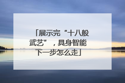 展示完“十八般武艺”，具身智能下一步怎么走