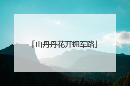 山丹丹花开拥军路