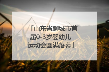 山东省聊城市首届0-3岁婴幼儿运动会圆满落幕