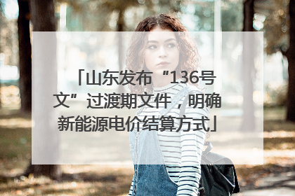 山东发布“136号文”过渡期文件，明确新能源电价结算方式