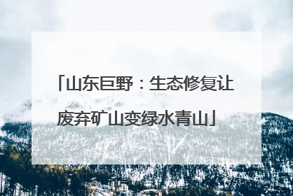 山东巨野：生态修复让废弃矿山变绿水青山