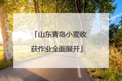 山东青岛小麦收获作业全面展开