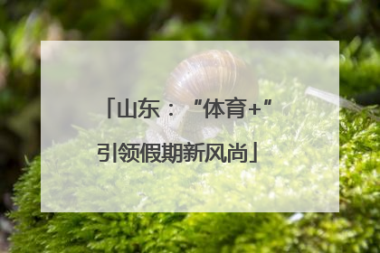 山东：“体育+”引领假期新风尚