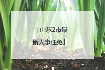 山东2市最新人事任免
