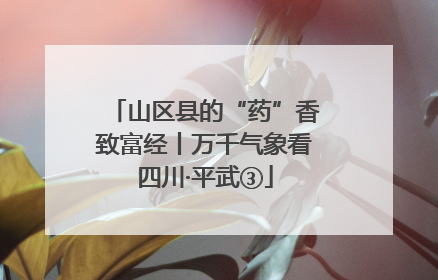 山区县的“药”香致富经丨万千气象看四川·平武③