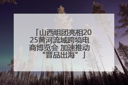 山西组团亮相2025黄河流域跨境电商博览会 加速推动“晋品出海”
