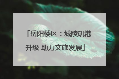 岳阳楼区：城陵矶港升级 助力文旅发展