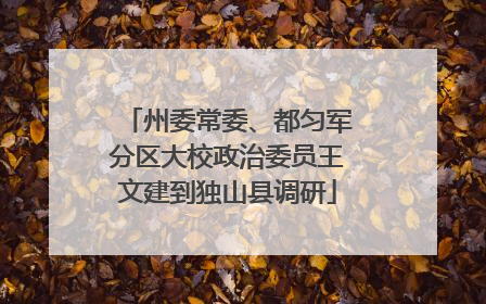 州委常委、都匀军分区大校政治委员王文建到独山县调研