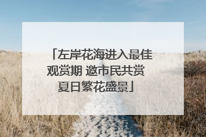 左岸花海进入最佳观赏期 邀市民共赏夏日繁花盛景