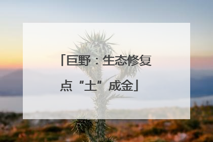巨野：生态修复点“土”成金