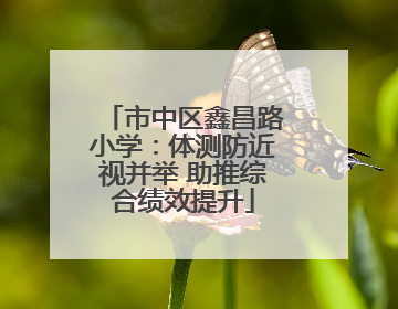 市中区鑫昌路小学：体测防近视并举 助推综合绩效提升