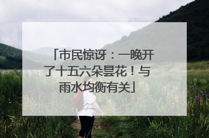 市民惊讶：一晚开了十五六朵昙花！与雨水均衡有关