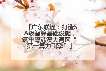 广东联通：打造5A级智算基础设施，筑牢粤港澳大湾区“第一算力引擎”