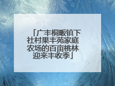 广丰桐畈镇下社村果丰苑家庭农场的百亩桃林迎来丰收季