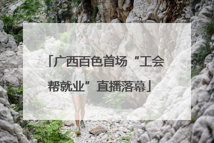 广西百色首场“工会帮就业”直播落幕