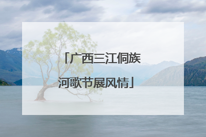 广西三江侗族河歌节展风情