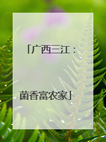 广西三江：菌香富农家