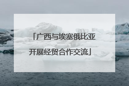 广西与埃塞俄比亚开展经贸合作交流
