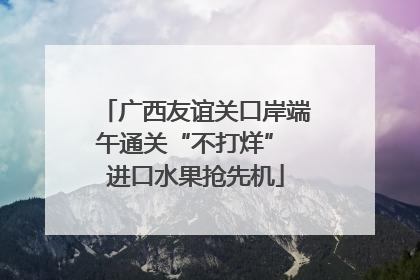 广西友谊关口岸端午通关“不打烊” 进口水果抢先机