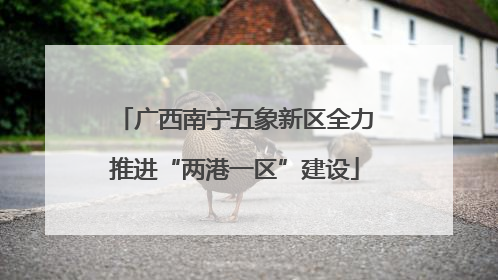 广西南宁五象新区全力推进“两港一区”建设