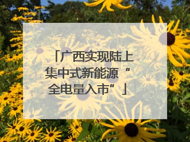 广西实现陆上集中式新能源“全电量入市”