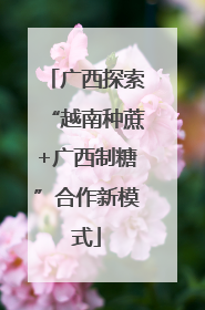 广西探索“越南种蔗+广西制糖”合作新模式