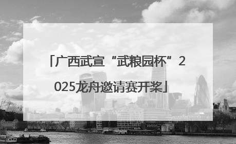 广西武宣“武粮园杯”2025龙舟邀请赛开桨