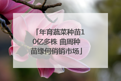 年育蔬菜种苗10亿多株 曲周种苗缘何俏销市场