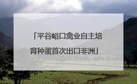平谷峪口禽业自主培育种蛋首次出口非洲