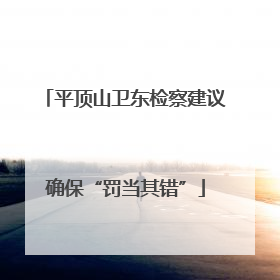 平顶山卫东检察建议确保“罚当其错”