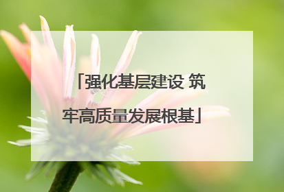 强化基层建设 筑牢高质量发展根基