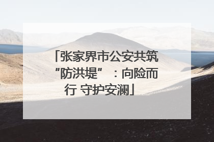 张家界市公安共筑“防洪堤”：向险而行 守护安澜