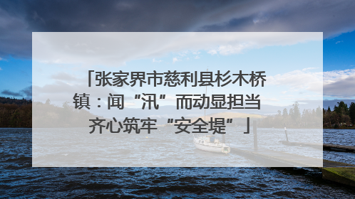 张家界市慈利县杉木桥镇：闻“汛”而动显担当 齐心筑牢“安全堤”